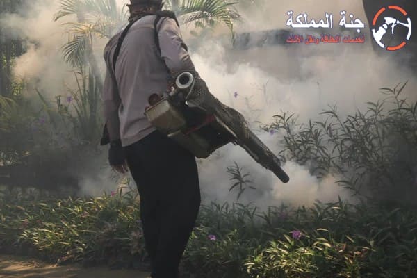 شركه مكافحه حشرات الفجيره