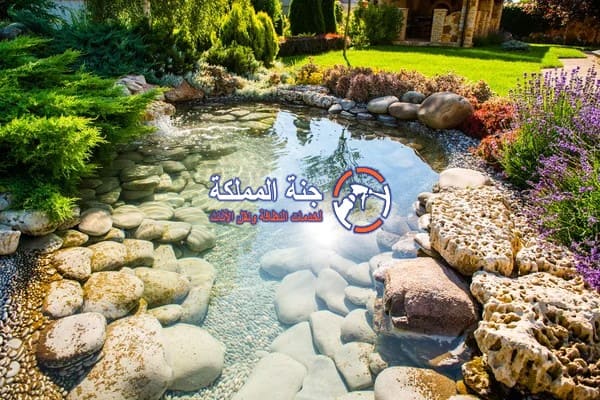 محلات تنسيق الحدائق في عجمان