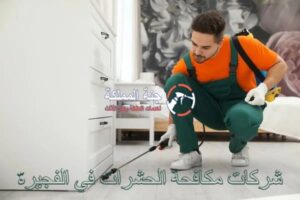 شركات مكافحة الحشرات في الفجيرة