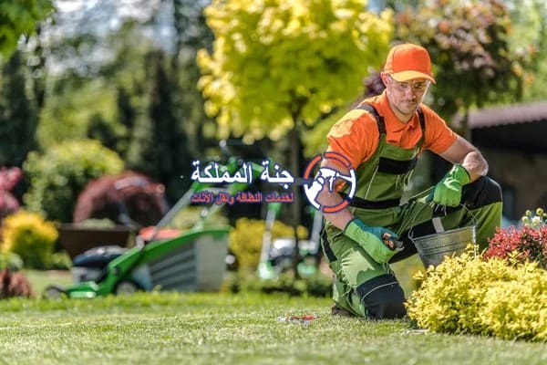 شركات ومحلات تنسيق الحدائق في عجمان